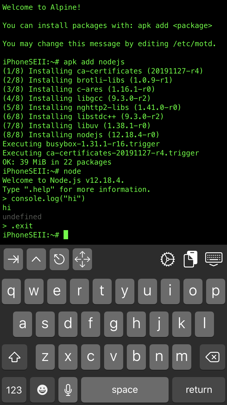 Node.js shell on iPhone
