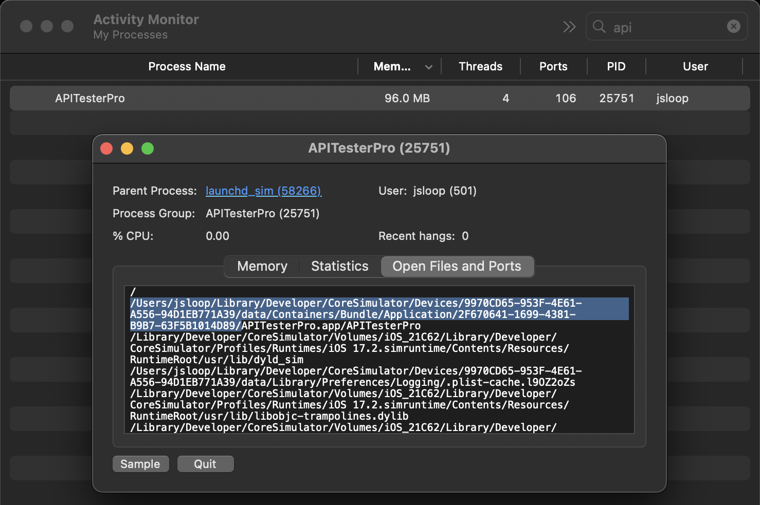 Path of iOS app in simulator